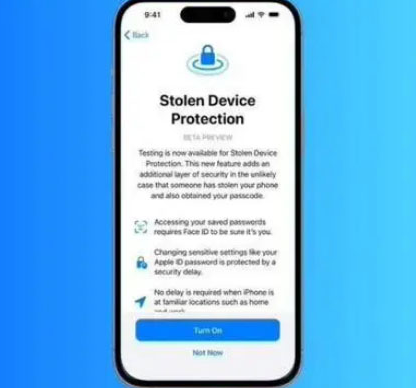 东湖苹果授权维修店分享被盗设备保护功能开启方法 