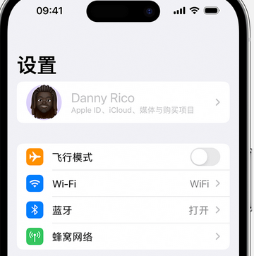 东湖appleID维修服务iPhone设置中Apple ID显示为灰色无法使用 