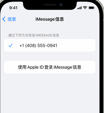 东湖apple维修iPhone上无法正常发送iMessage信息 