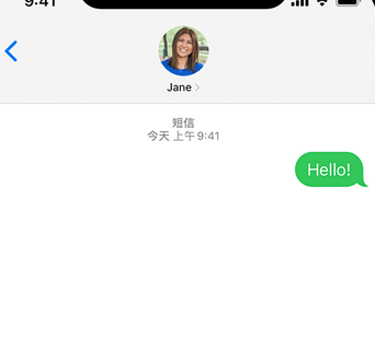 东湖apple维修iPhone上无法正常发送iMessage信息