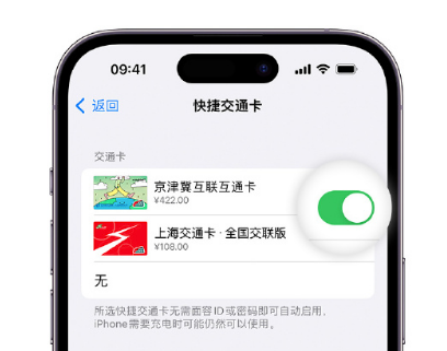 东湖apple维修点分享iPhone上更换Apple Pay快捷交通卡手绘卡面 