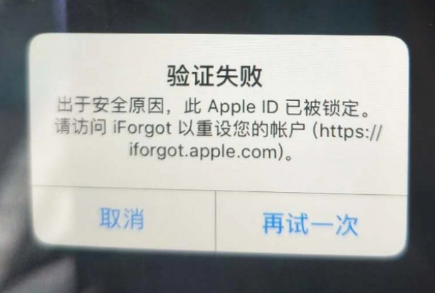 东湖iPhone维修分享iPhone上正常登录或使用AppleID怎么办 