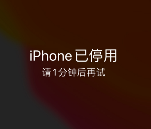 东湖苹果手机维修分享:iPhone 显示“不可用”或“已停用”怎么办？还能保留数据吗？ 