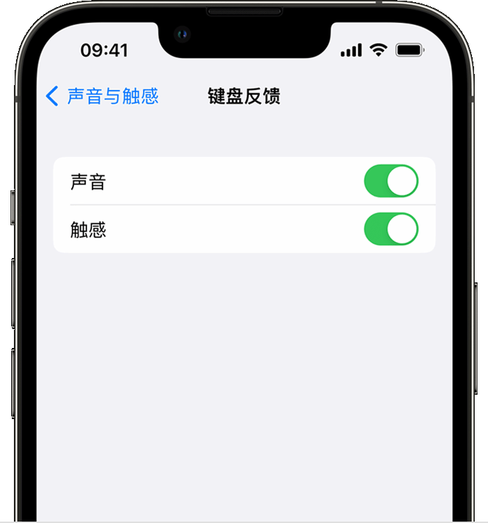 东湖苹果14维修店分享如何在 iPhone 14 机型中使用触感键盘 