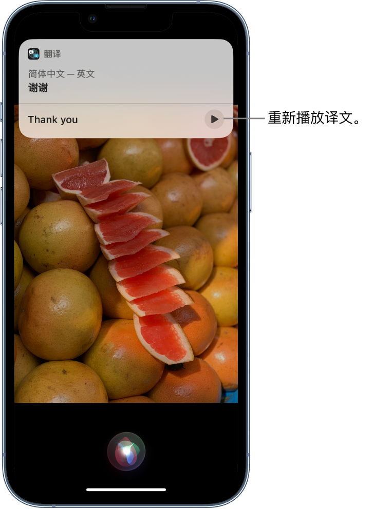 东湖苹果14维修分享 iPhone 14 机型中使用 Siri：了解 Siri 能帮你做什么 