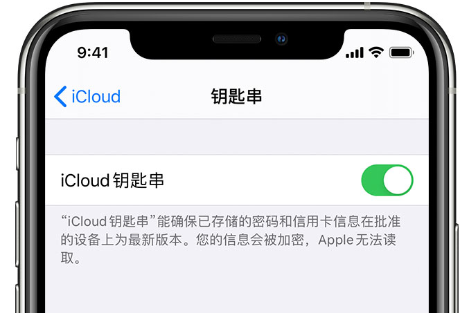 东湖苹果手机维修分享在 iPhone 上开启 iCloud 钥匙串之后会储存哪些信息 