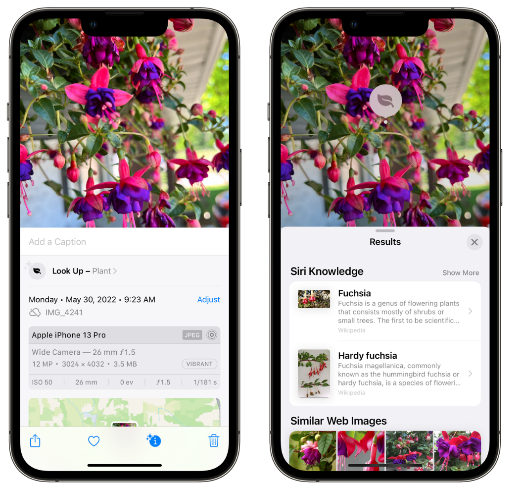 东湖苹果手机维修分享小技巧：使用 iPhone 相机识别花卉植物 