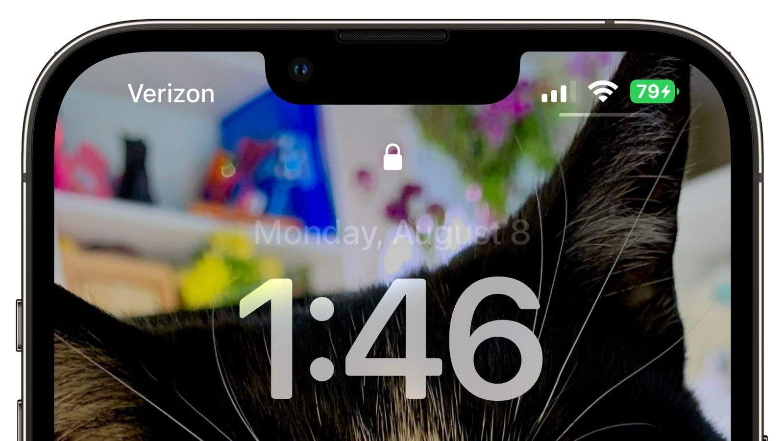 东湖苹果手机维修分享iOS 16 beta 5 支持状态栏显示电池百分比，如何开启？支持哪些机型 