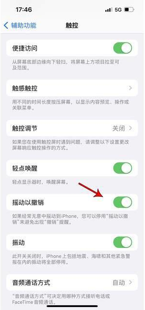 东湖苹果手机维修分享iPhone手机如何设置摇一摇删除文字 