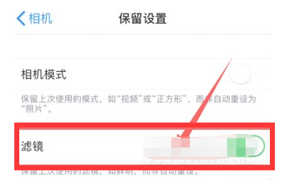 东湖苹果13维修分享iPhone13拍照有绿点是怎么回事 