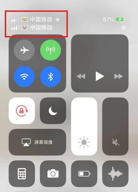 东湖苹果手机维修分享为 iPhone 12 双卡设置标签 
