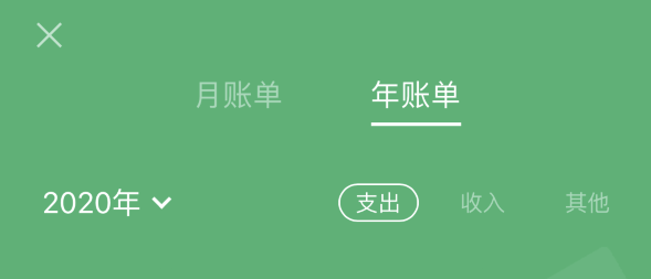 东湖苹果手机维修分享如何在 iPhone 上查看支付宝和微信年支出账单 