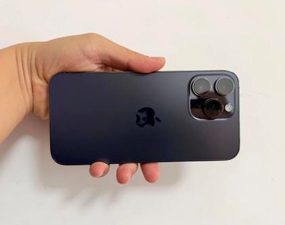 东湖苹果维修点分享iPhone 14 Pro Max发烫多重诱因剖析 